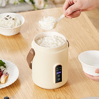 Electric Stewpot JJ-500