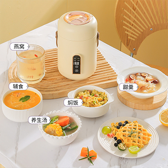 Electric Stewpot JJ-500