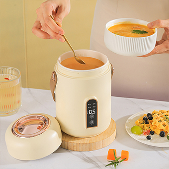 Electric Stewpot JJ-500