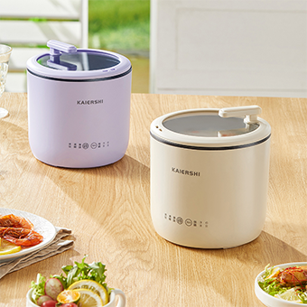 Electric Cooker JJ-300
