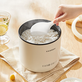 Electric Cooker JJ-300